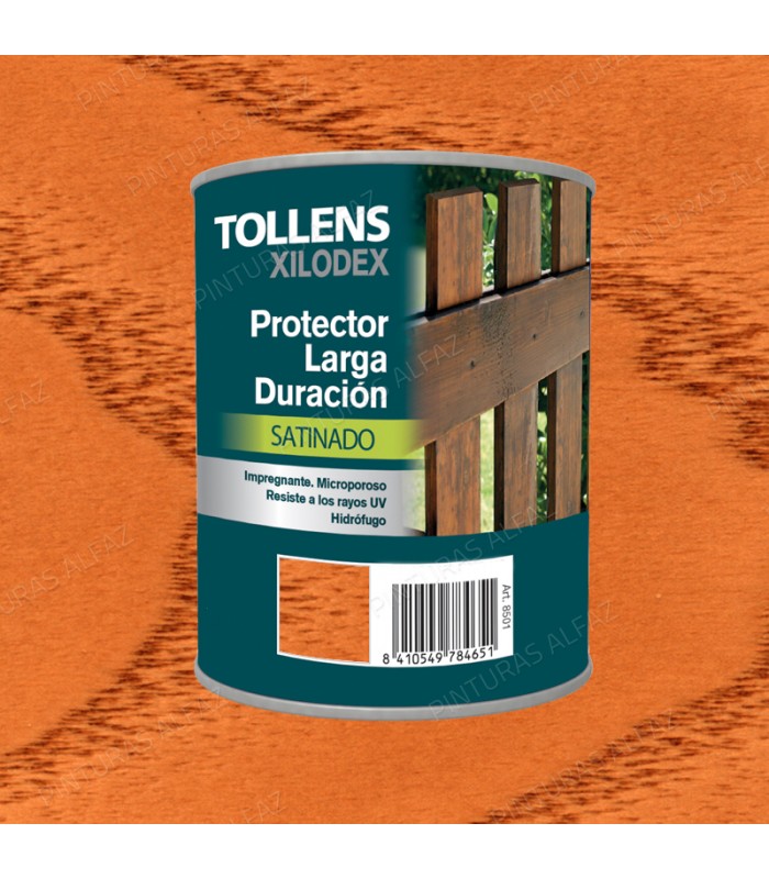 PROTECTOR LARGA DURACION SATINADO 4 LT